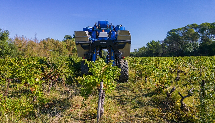 Validé hors AOC, le voile d'hivernage contre le gel testé en vignes d'appellation